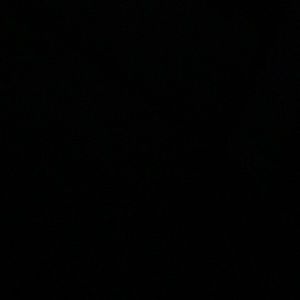 Meet your Posher, Shanna